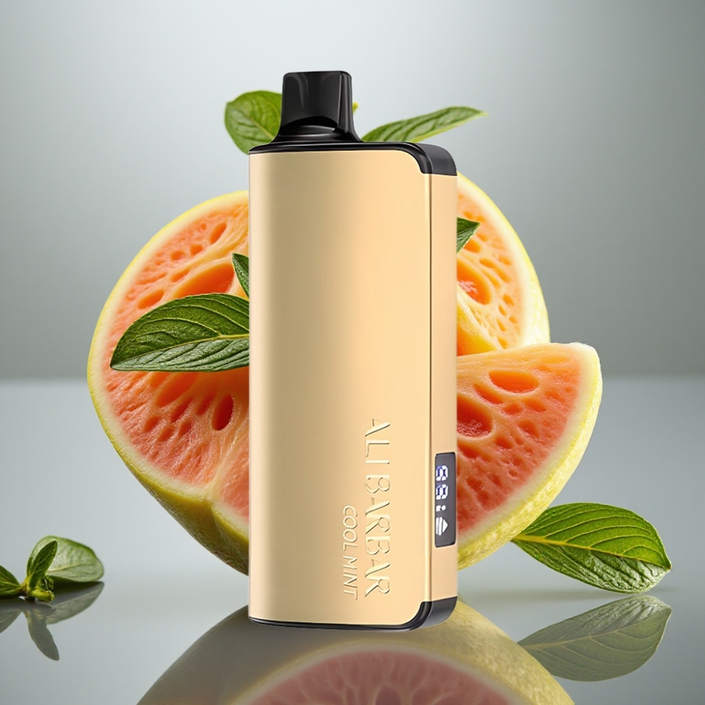 Alibarbar Ingot 9000 Puffs 22ml 2350mAh Cool Mint Disposable Vape